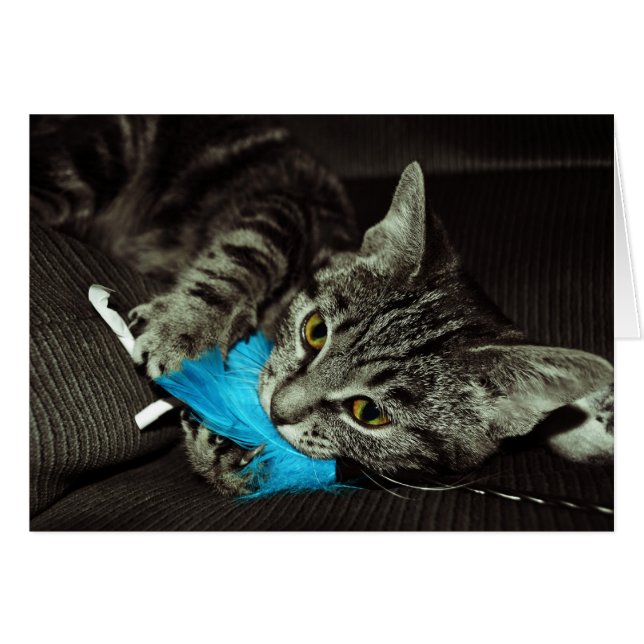 Cartão Tabby Cat com pena de Shirley Taylor (Frente Horizontal)