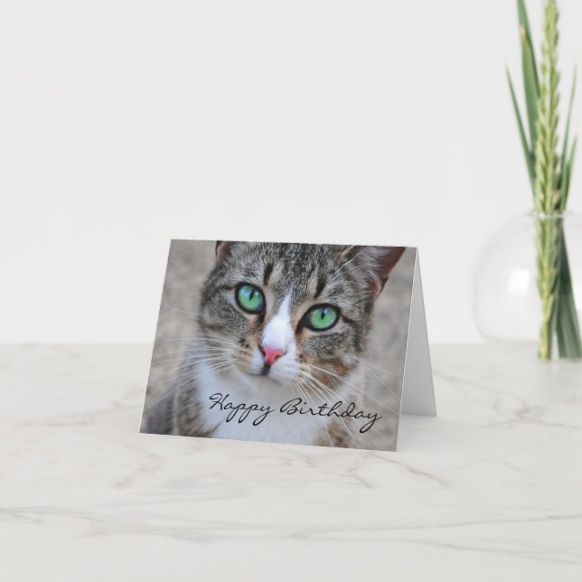 Cartão Tabby Cat Happy Birthday Card (Frente)