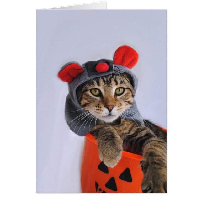 Cartão Tabby Cat in Mouse Costume Card (Frente)