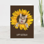 Cartão tabby cat in sunflower birthday<br><div class="desc">Smiling tabby cat in yellow sunflower for birthday on brown background.
Background color can be edited.</div>