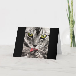 Cartão Tabby Cat Licking Paw