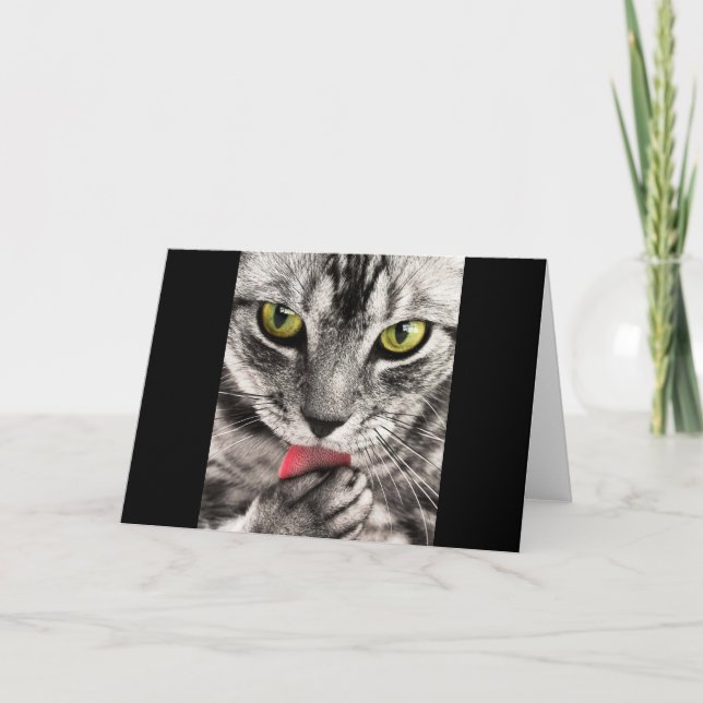 Cartão Tabby Cat Licking Paw (Frente)