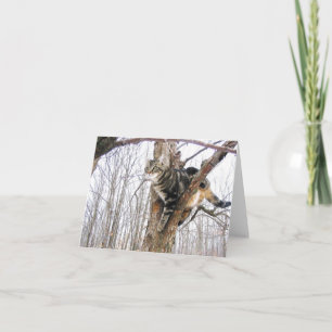 Cartão Tabby Cat Note Card