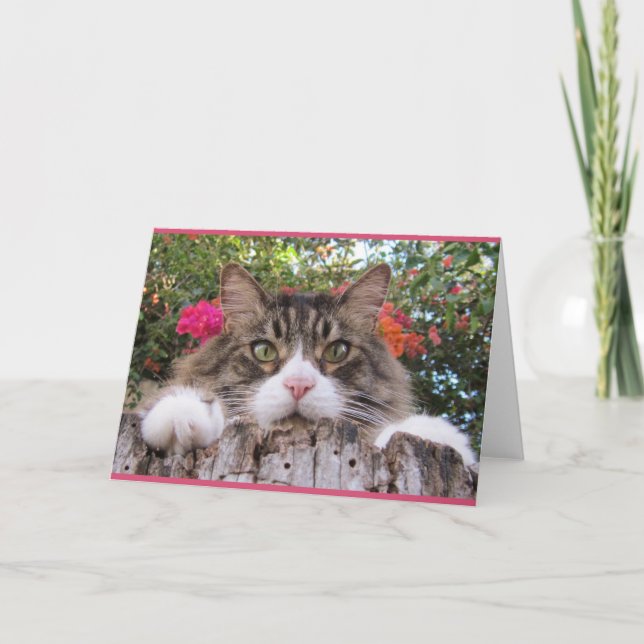 Cartão Tabby Cat On Tree Stump With Bougainvillea (Frente)