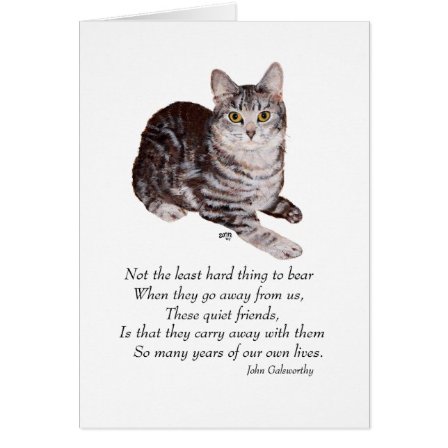 Cartão Tabby Cat Rainbow Bridge (Frente)