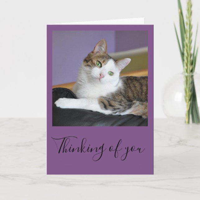 Cartão Tabby cat thinking of you card (Frente)