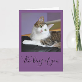 Cartão Tabby cat thinking of you card