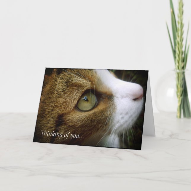 Cartão Tabby Cat - Thinking Of You Card (Frente)