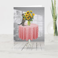 Tabby De Aniversário Com Buquê De Girassol