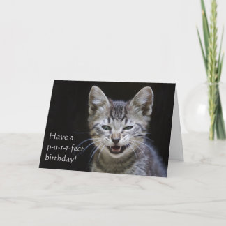 Cartão Tabby Kitten Happy Birthday