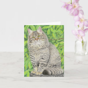Cartão Tabby Longhair