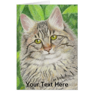 Cartão Tabby Longhair