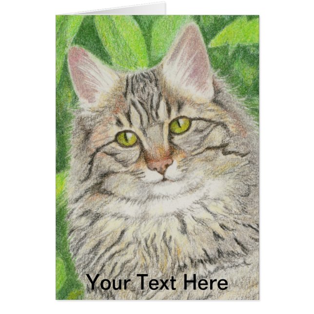 Cartão Tabby Longhair (Frente)