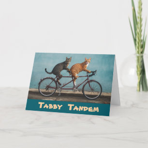 Cartão Tabby Tandem
