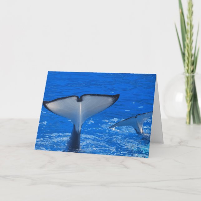 Cartão Tail of a Whale Greeting Card (Frente)