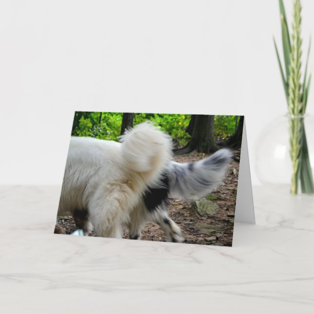 Cartão Tail Wagging Ways / Anniversary Card (Frente)