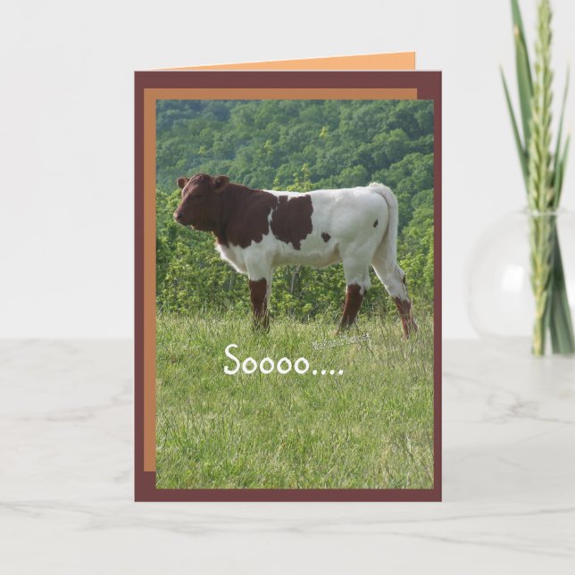 Cartão TakaraBday -customize- any occasion (Frente)