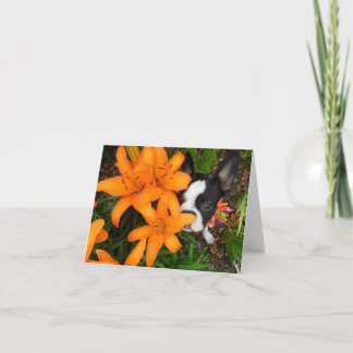 Cartão Take time to smell the flowers - BLANK NOTE CARD