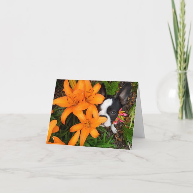 Cartão Take time to smell the flowers - BLANK NOTE CARD (Frente)