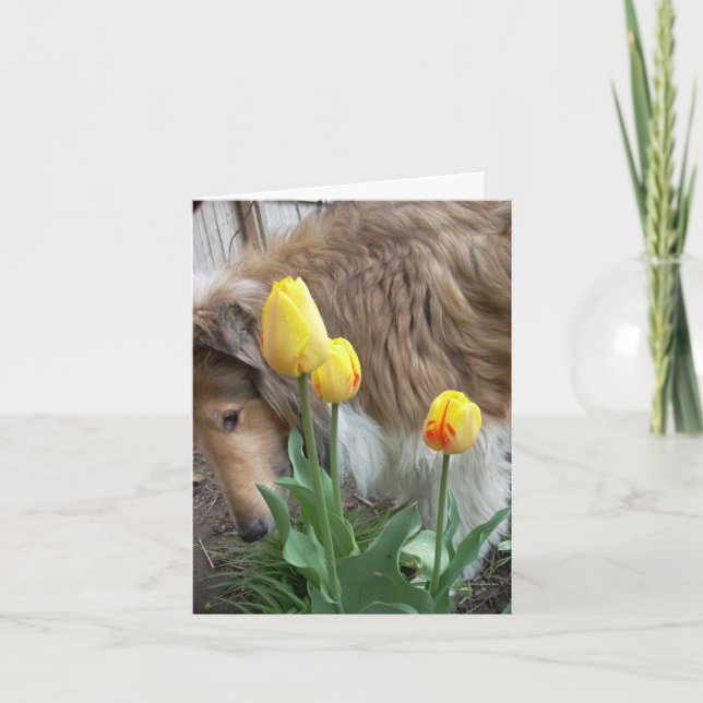 Cartão Take time to smell the flowers, Collie note cards (Frente)