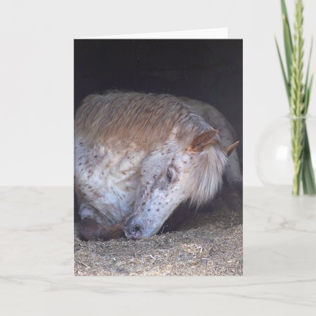 Cartão Taking it easy birthday card (Frente)