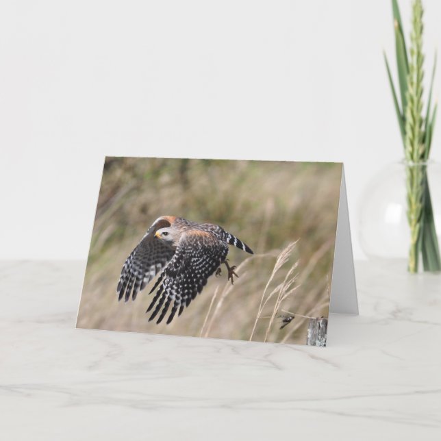 Cartão Taking Off Greeting Card (Frente)