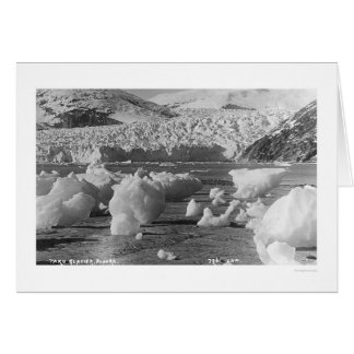 Cartão Taku Glacier Alaska 1914