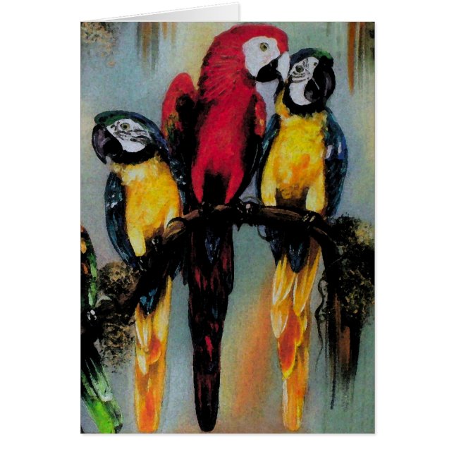 Cartão Talk Parrots ~ Card (Frente)