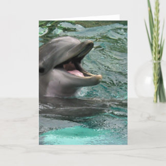 Cartão Talking Dolphin Greeting Cards