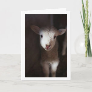 CARTÃO TALVEZ SEJA UM BEBÊ, MAS POSSO DIZER **MERRY NATM