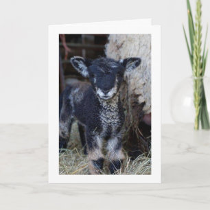 CARTÃO TALVEZ SEJA UMA CRIANÇA, MAS POSSO DIZER **MERRY N