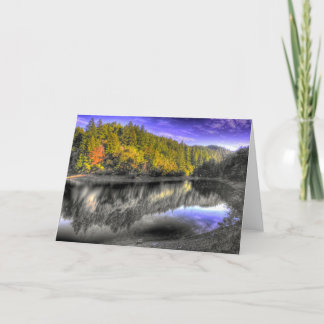 Cartão Tam Tree Reflection