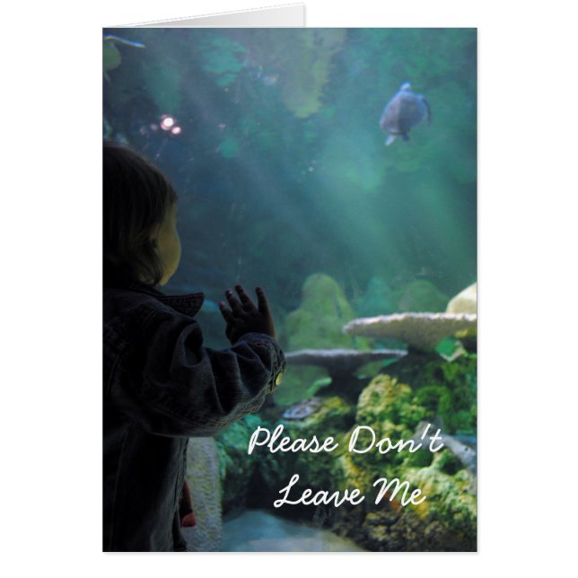 Cartão Tambor Turtle (Frente)