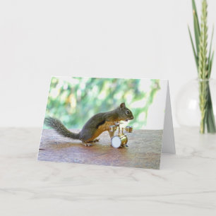 Cartão Tambores De Jogar Esquilo