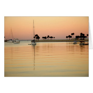 Cartão Tampa, Florida