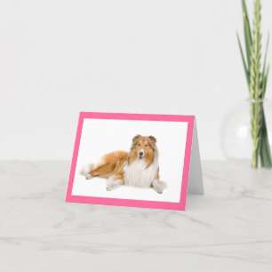 Cartão Tan And white Collie Puppy Dog Blank Note Card
