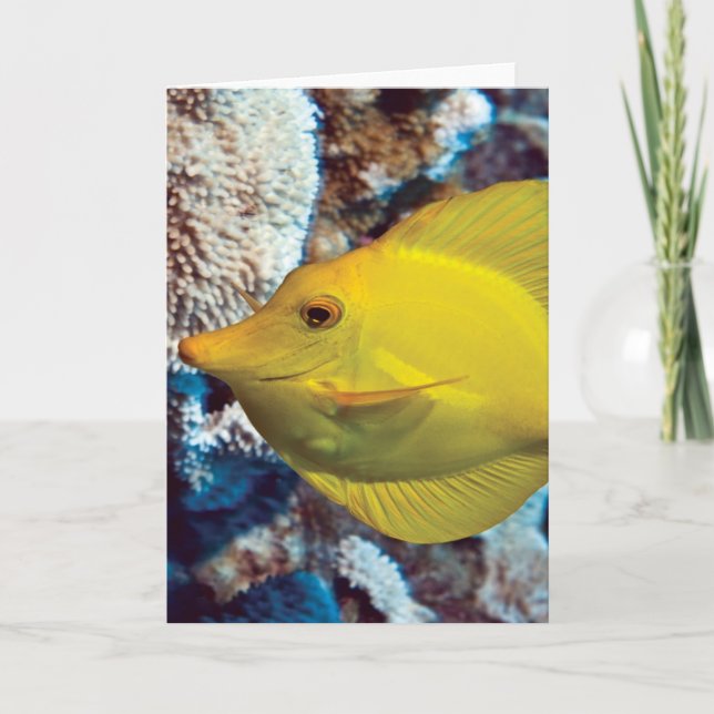 Cartão Tangessence (Frente)