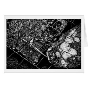 Cartão tanto para amanhã