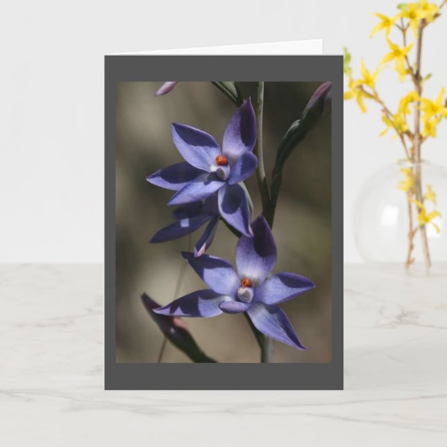 CARTÃO TÃO "DESCULPE" PELA "SUA PERDA" (Flor Amarela)