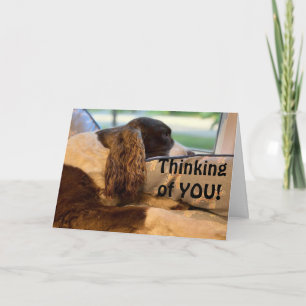 CARTÃO TÃO FELIZ E QUER FELICITÁ-LO