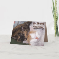 Tão Feliz Juntos Dois Aniversário De Gatos De Cont