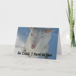 Cartão Tão Frio! Tenho que fazer xixi!