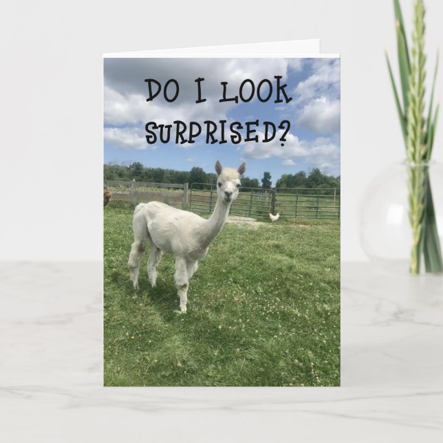 CARTÃO *TÃO SURPREENDIDO **20** ANIVERSÁRIO!!!* (Frente)