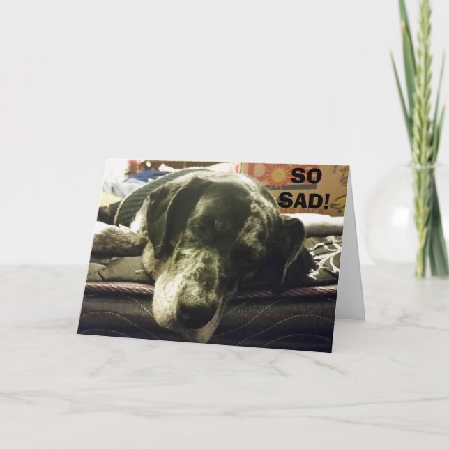CARTÃO TÃO TRISTE EM VÊ-LO IR - PUP É TÃO INFELIZ (Frente)
