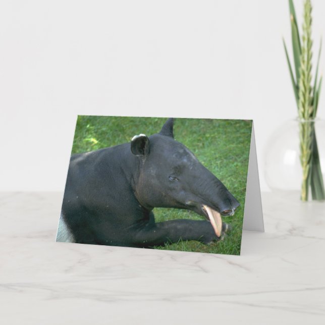 Cartão Tapir (Frente)