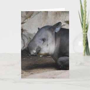 Cartão Tapir Note Card