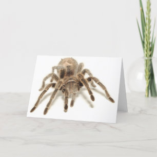 Cartão Tarantula
