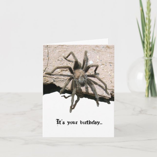 Cartão Tarantula Birthday Card (Frente)