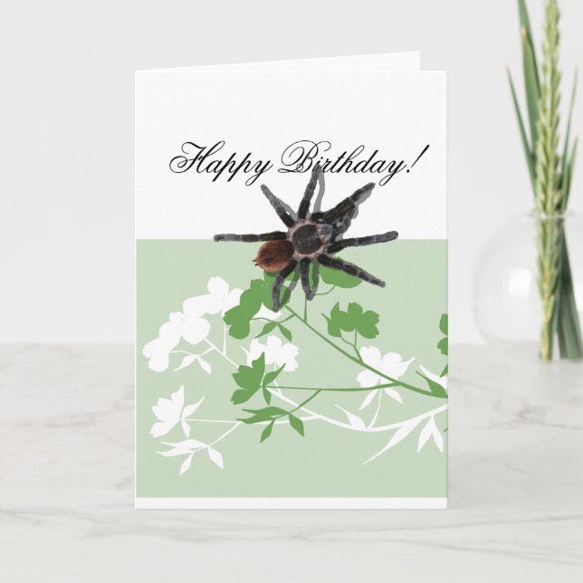 Cartão tarantula spider on dogwood blossom design cards (Frente)