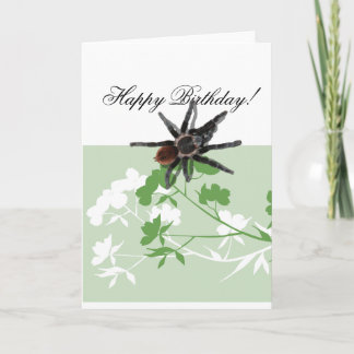 Cartão tarantula spider on dogwood blossom design cards